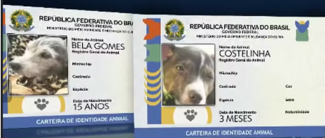 Mais de 1 milhão de pets ganham carteira de identidade no Brasil